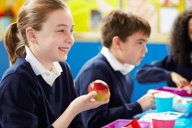 Lunch Ideas to Keep Kids Alert in Class