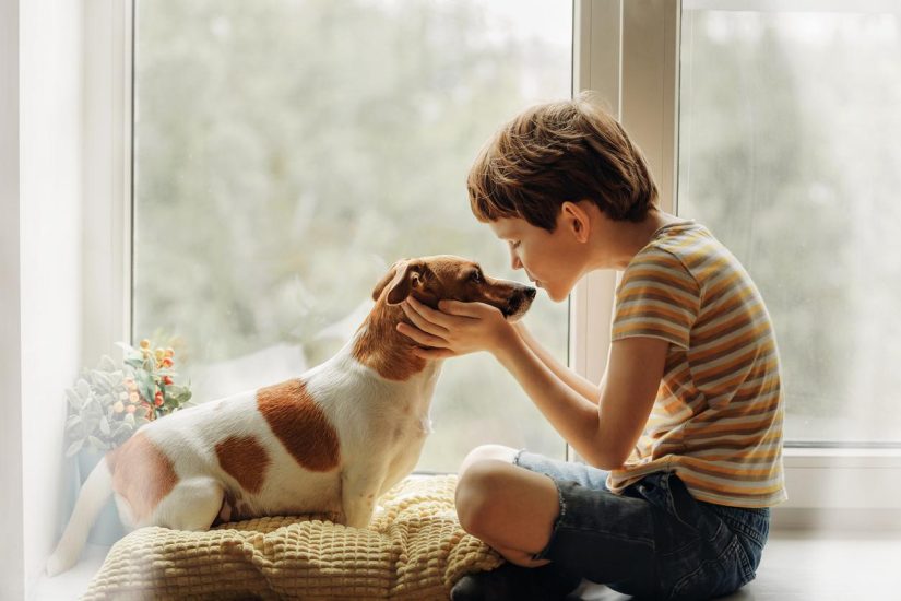 How Pets Can Help Children Develop EQ