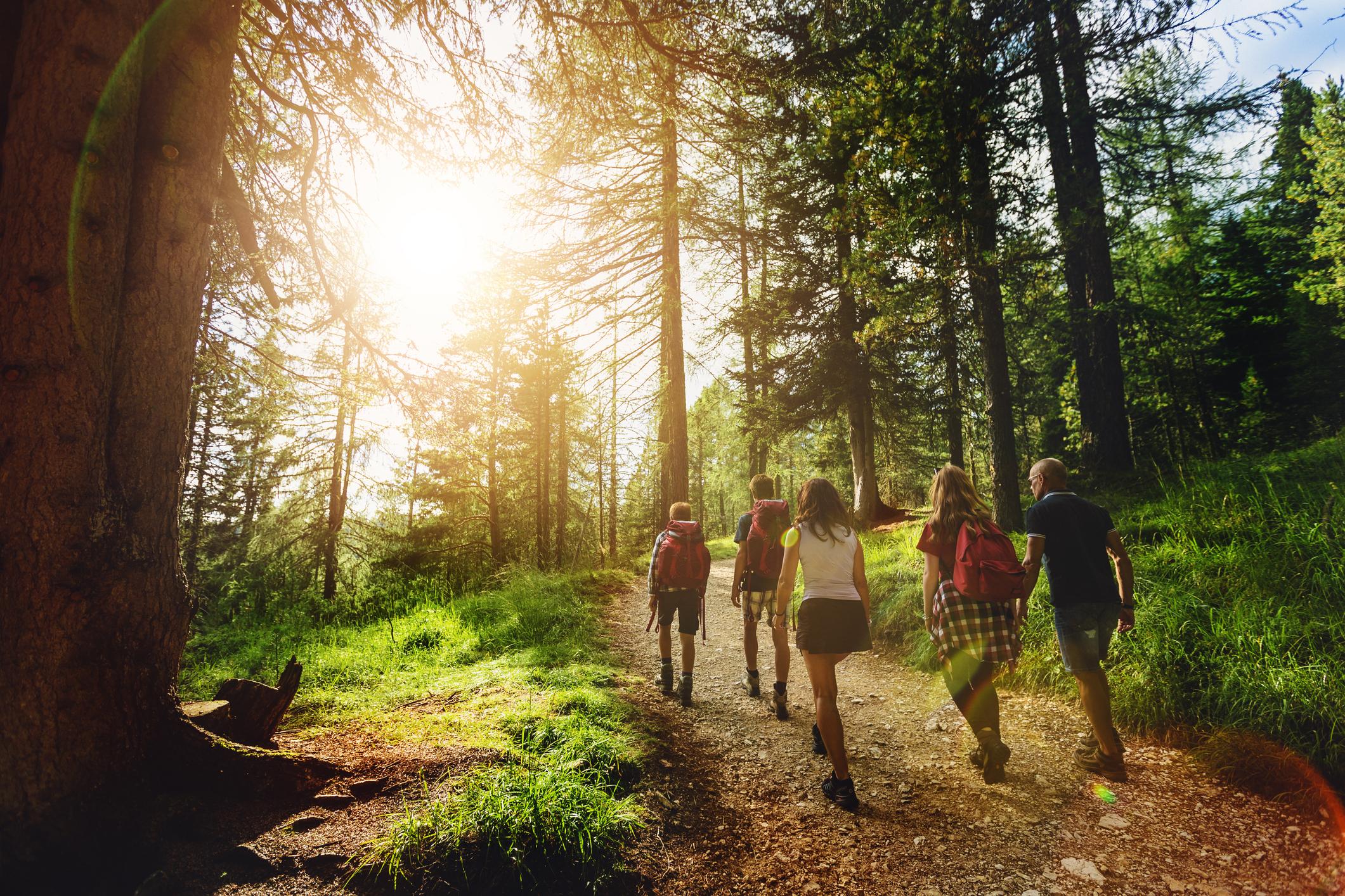 Summer Learning Activities for Students