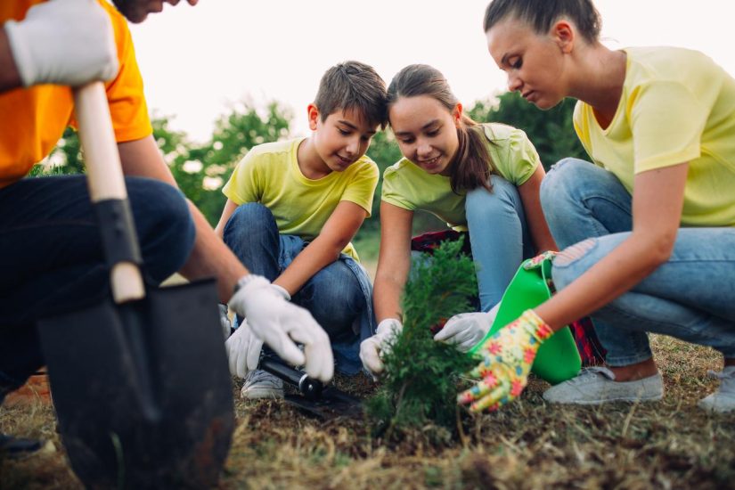 How to Make the Most of Summer Volunteer Work