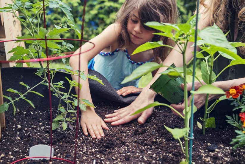 Activities to Celebrate National Science Week
