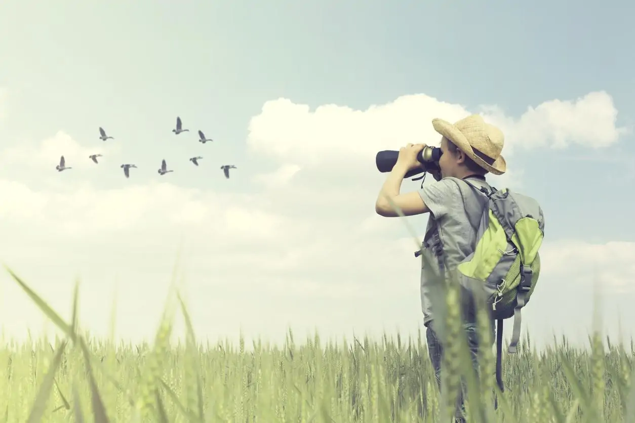 Aussie Bird Count