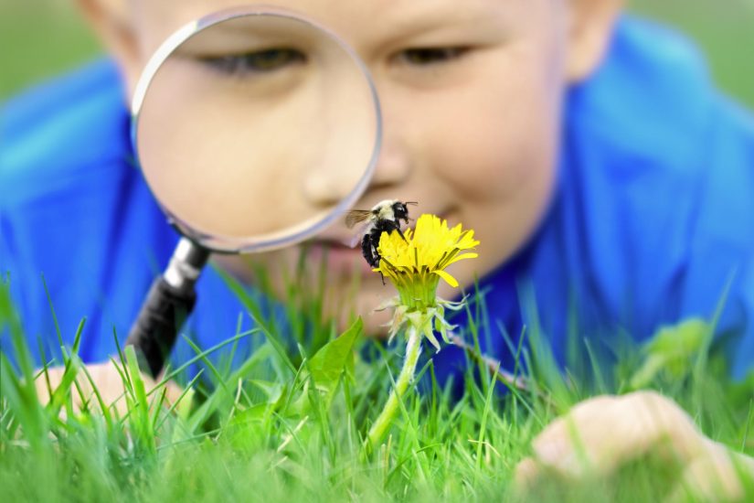 Fun Outdoor Science Projects to Fuel Learning