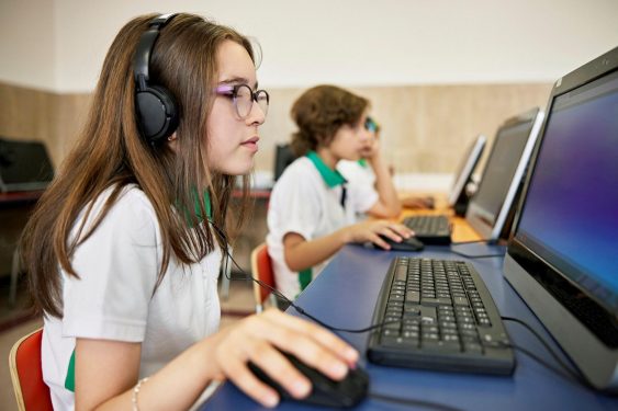 Understanding the NAPLAN: Breaking Down Each Section of the Test ...