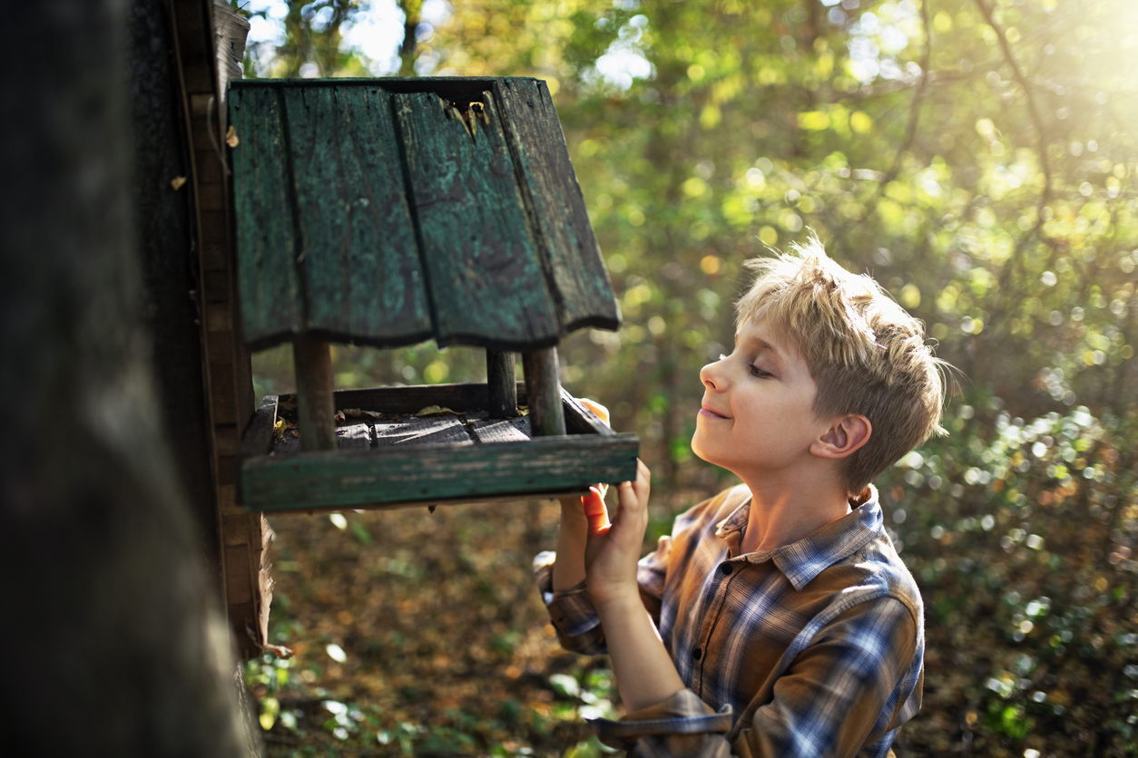 Using Local Wildlife to Teach Biology Concepts in Spring
