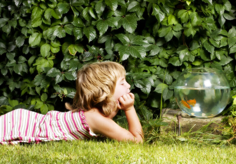 A young girl lies on green grass, intently watching a goldfish in a round bowl