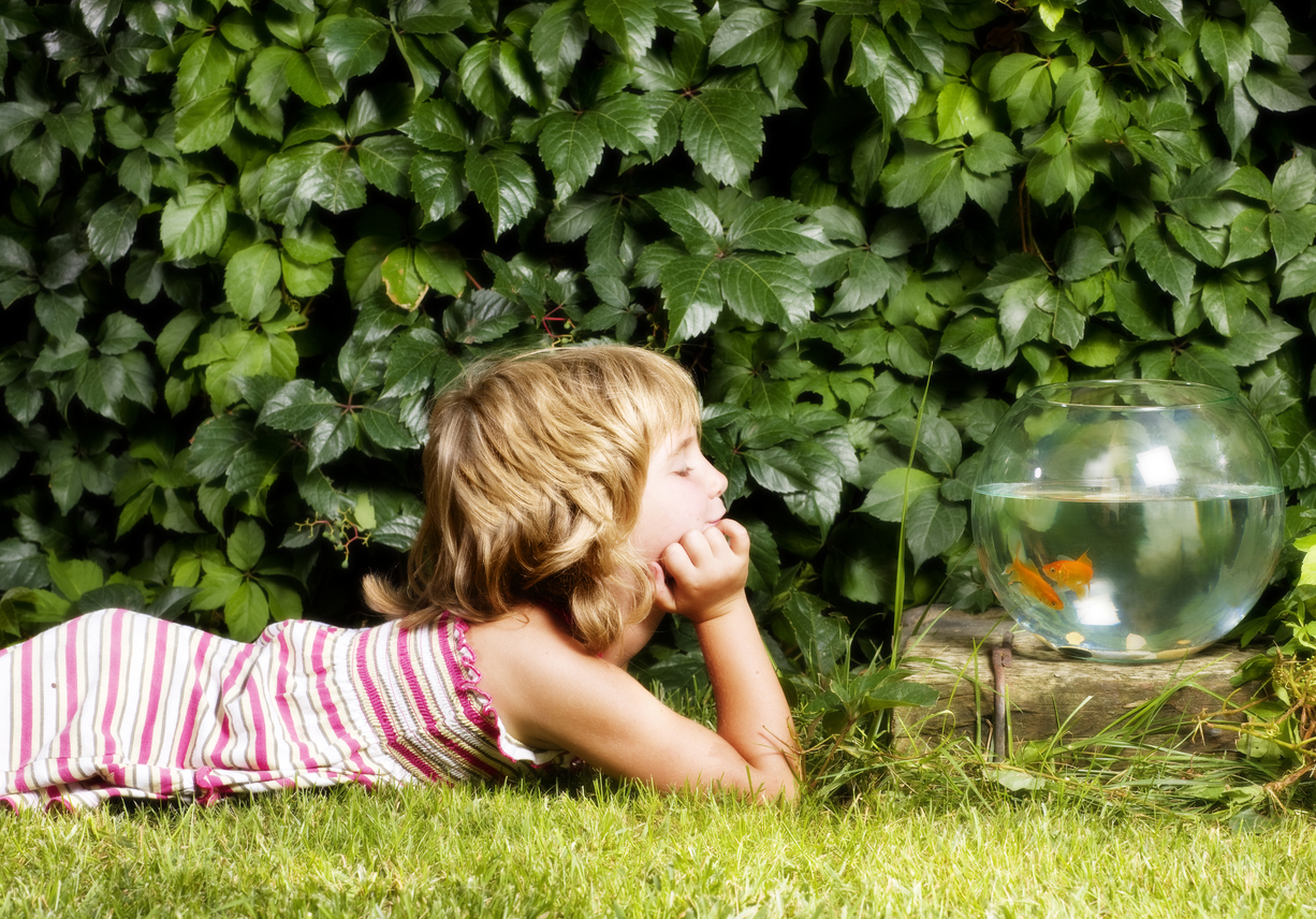Simple Science Habits That Help Students Think Like Scientists (Even Outside the Classroom)